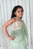 Sequinced Fringe Ghaghra Sari