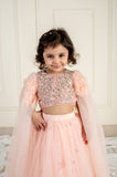 Peach Stone Embroidered Feather Sleeved Ghaghra
