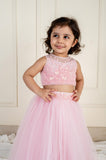 Pink Heart Ghaghra