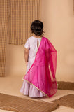 Lilac Embroidered Ghaghra