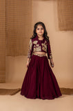 Wine hand Dori Embroidered Peacock Ghaghra Jacket Set