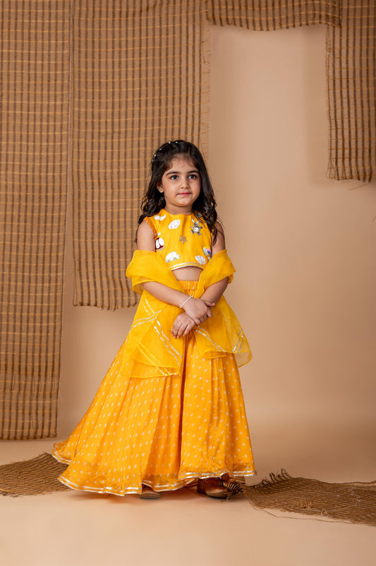 Fun embroidery Yellow Bandhej Ghaghra