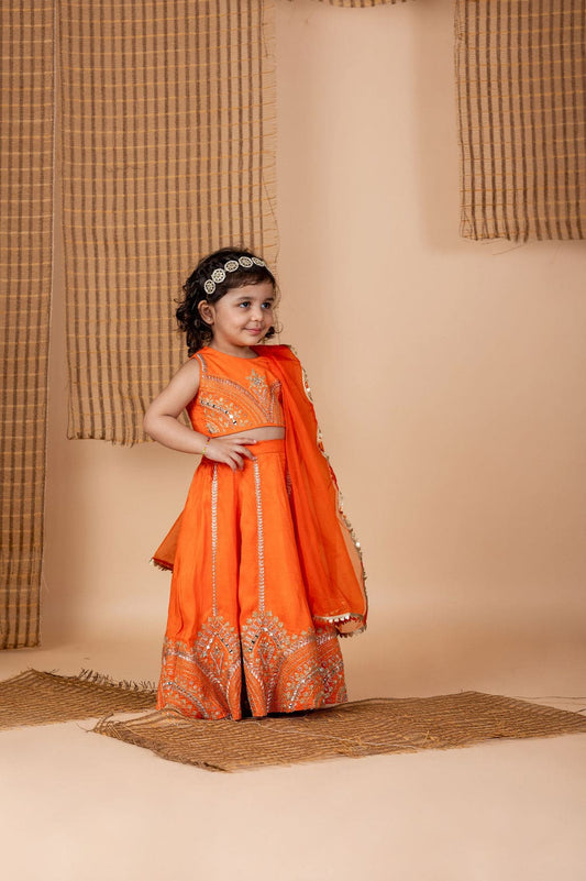 Orange Embroidered Ghaghra
