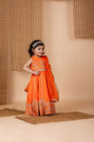 Orange Embroidered Ghaghra