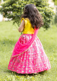 Pink Ikkat Ghaghra Set