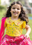 Pink Ikkat Ghaghra Set