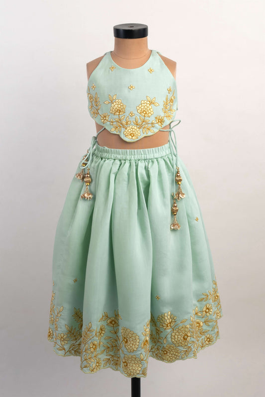 Blue Thread Embroidery Ghaghra