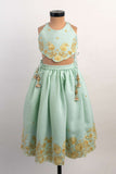 Blue Thread Embroidery Ghaghra