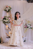 Beige Shimmery Embroidered Ghaghra set