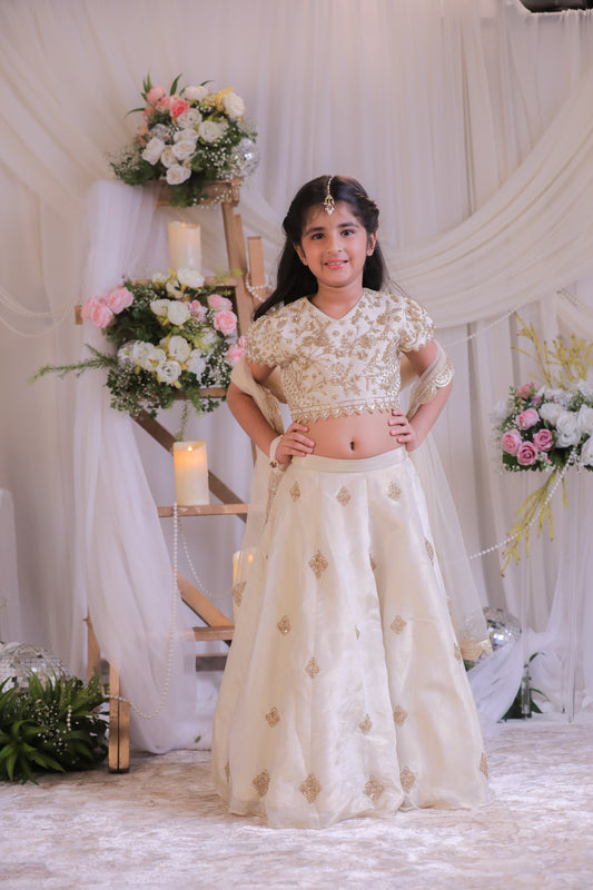 Beige Shimmery Embroidered Ghaghra set