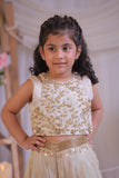 Shimmery Beige Embroidered Top With Palazzo