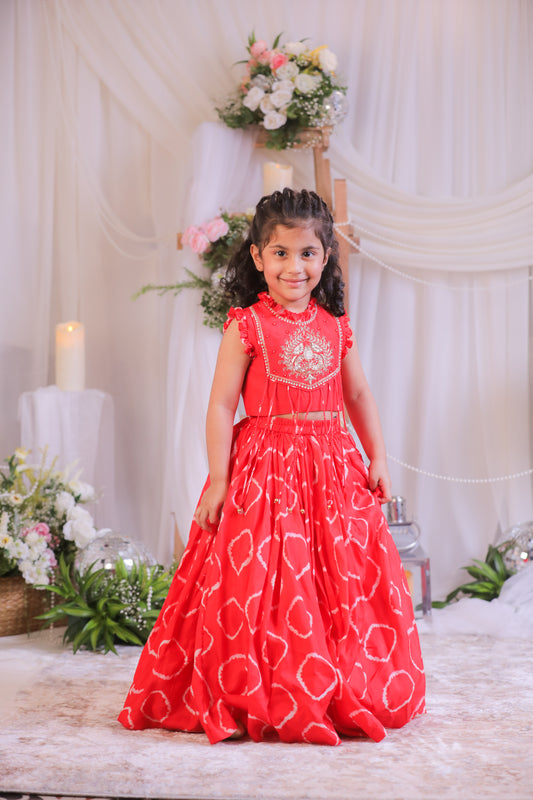 Red Bandhej Embroidery Ghagra Set