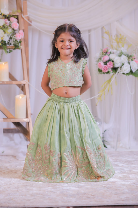 Green Shimmer Silk Embroidered Ghaghra with Dupatta