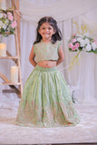 Green Shimmer Silk Embroidered Ghaghra with Dupatta
