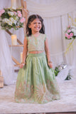 Green Shimmer Silk Embroidered Ghaghra with Dupatta