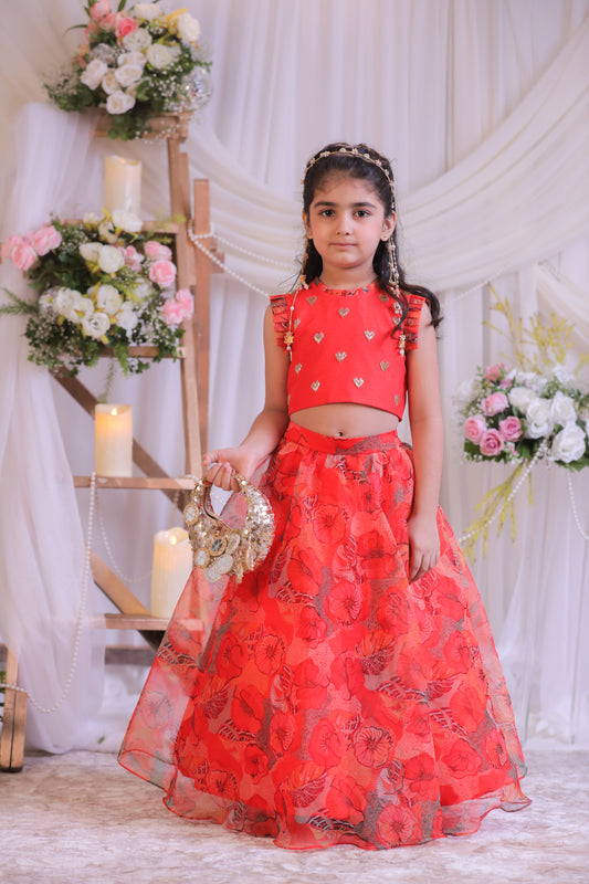 Organza Heart Ghaghra