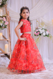 Organza Heart Ghaghra
