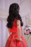 Organza Heart Ghaghra
