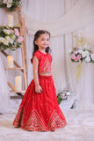 Embroidered Red Top With Lehenga