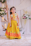 Mustard Multi colored Applique Ghaghra Set