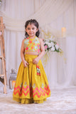 Mustard Multi colored Applique Ghaghra Set