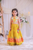 Mustard Multi colored Applique Ghaghra Set