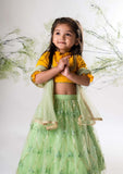 Yellow Chikankari Blouse with Green Heavy Ghaghra Set