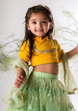 Yellow Chikankari Blouse with Green Heavy Ghaghra Set