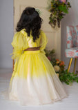Yellow White Floral Embroidery Ghaghra Set