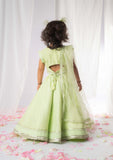Green Chikankari Ghaghra Set