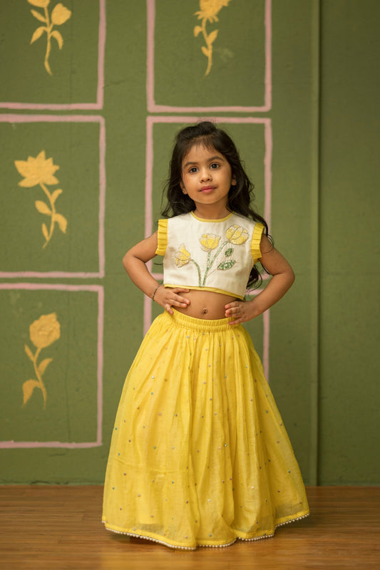 Sequins Embroidered Boota Ghagra