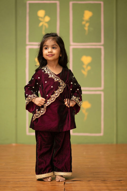 Wine Velvet Embroidered Suit