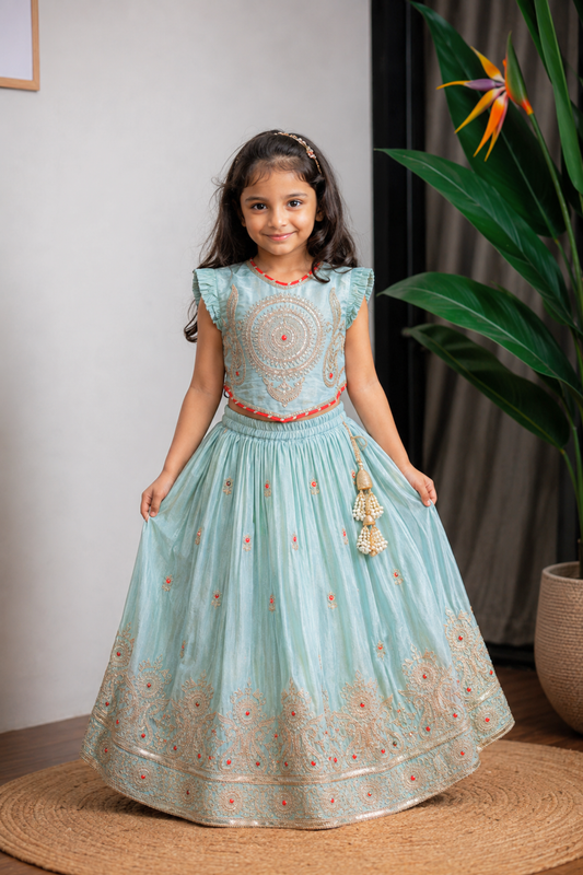 Blue Shimmer Embroidered Ghaghra