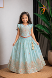 Blue Shimmer Embroidered Ghaghra