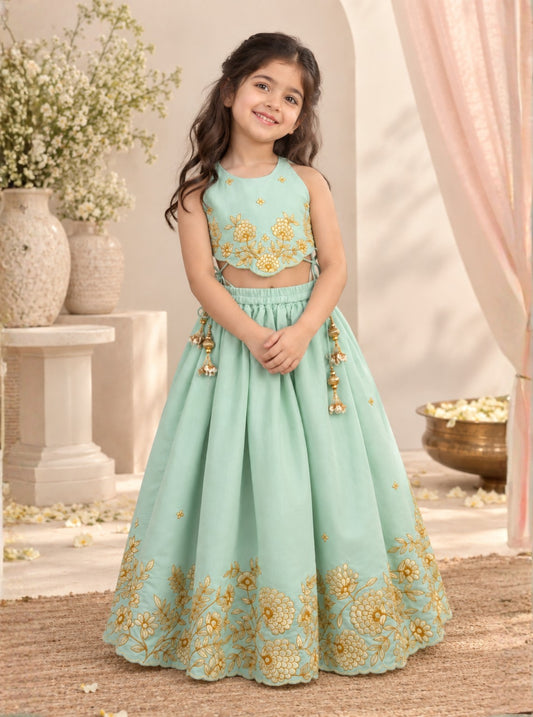 Blue Thread Embroidery Ghaghra