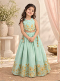 Blue Thread Embroidery Ghaghra