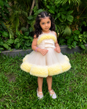 The 4 In 1 Princess Gown