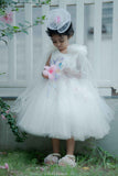 Delicate Embroidery White Dress