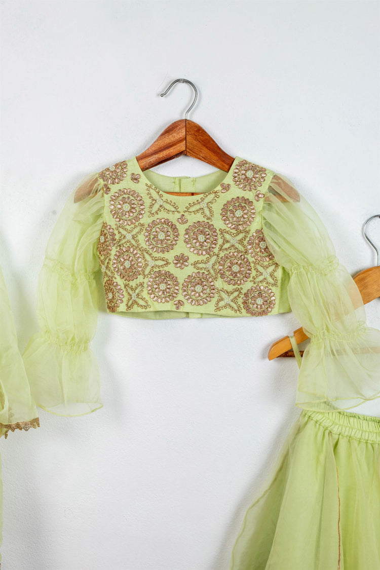 Light Green Gota Embroidered Blouse with Double Layered Ghaghra