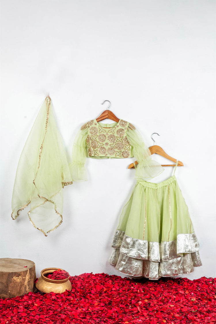 Light Green Gota Embroidered Blouse with Double Layered Ghaghra