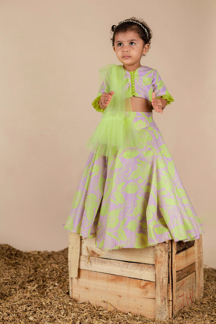 Lilac Green Floral Printed Ghaghra