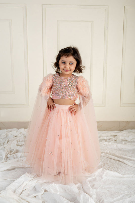 Peach Stone Embroidered Feather Sleeved Ghaghra