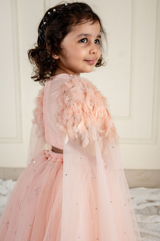 Peach Stone Embroidered Feather Sleeved Ghaghra