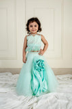 Sea Blue Sequinced and feather Ghaghra