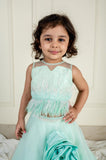 Sea Blue Sequinced and feather Ghaghra