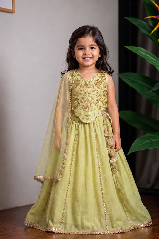 Green Hand Embroidered Kali Ghagra