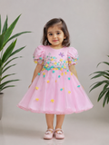 Pink Embroidered Dress