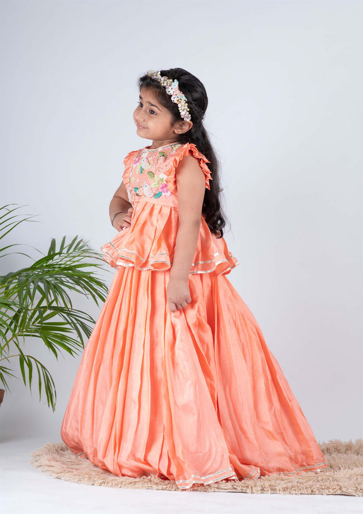 Peach Bird Ghaghra Set