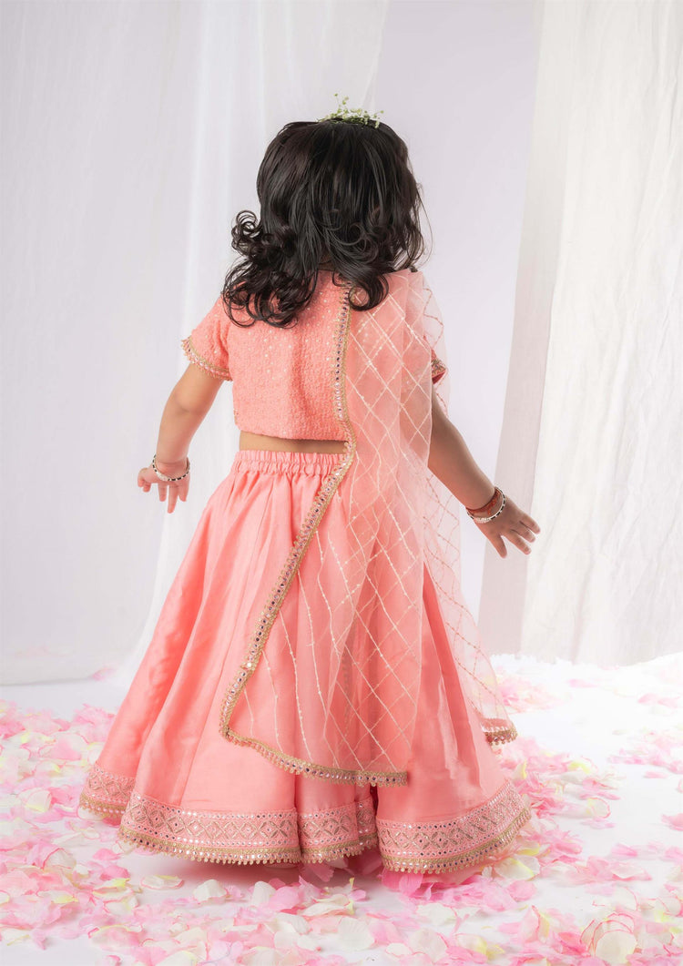 Peach Chikankari Ghaghra Set