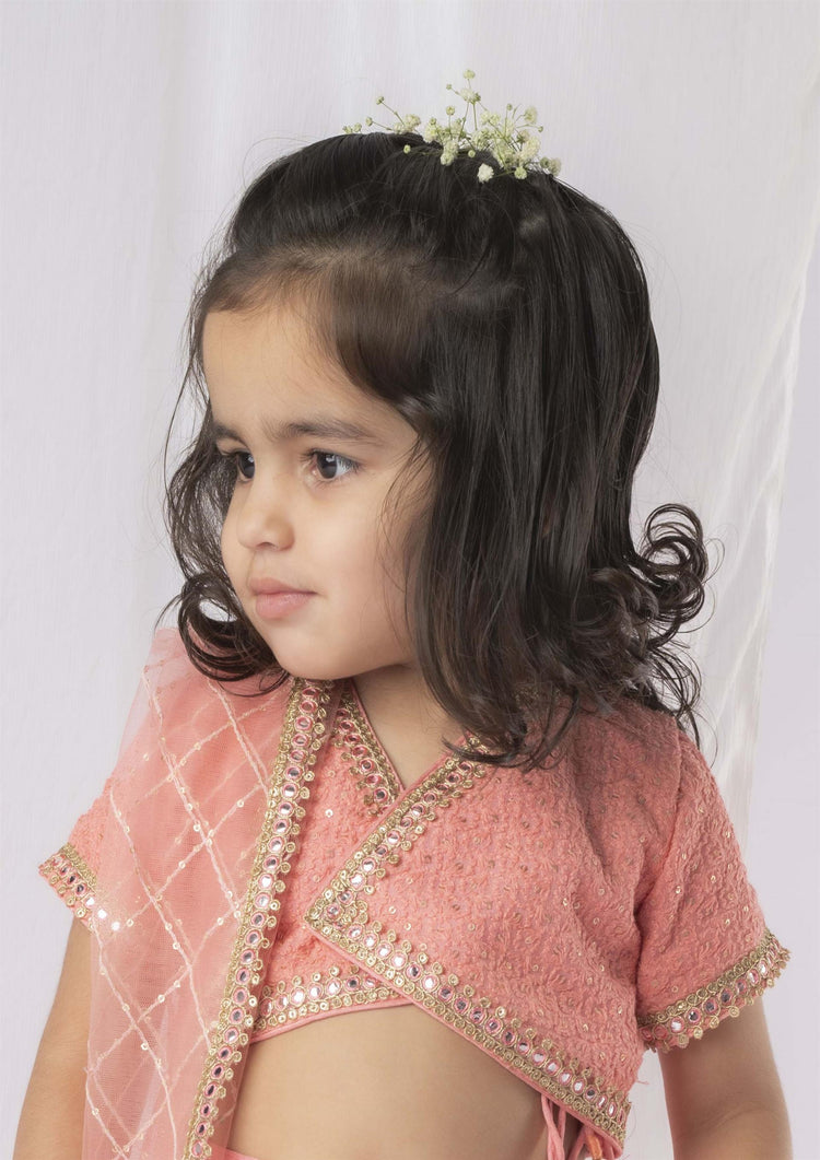 Peach Chikankari Ghaghra Set